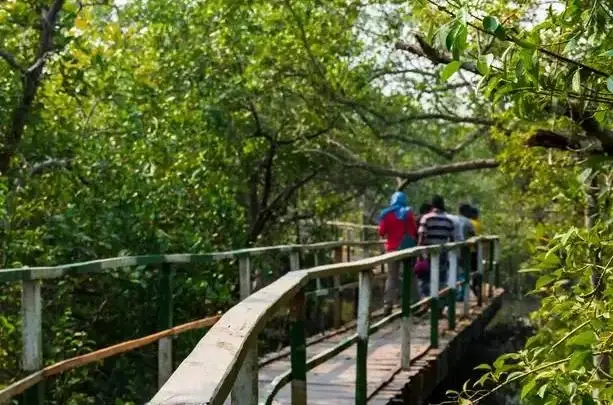 nature-walk