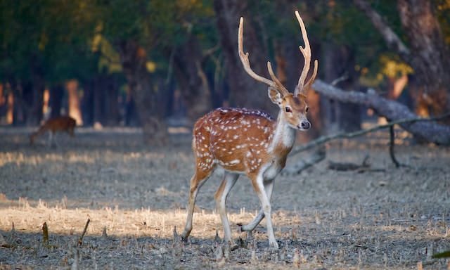 sundarban-tour-1-night-2-days