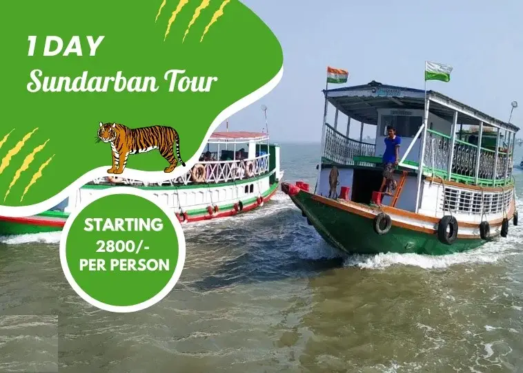 sundarban-one-day-tour-package