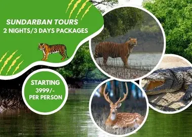 sundarban-tour-2-night-3-days-package-cost