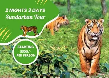 sundarban-2-nights-3-days-tour-package
