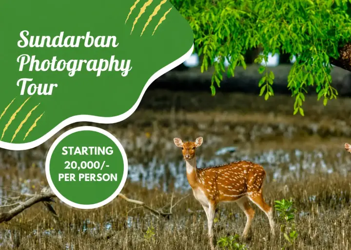 sundarban-2-nights-3-days-tour-package