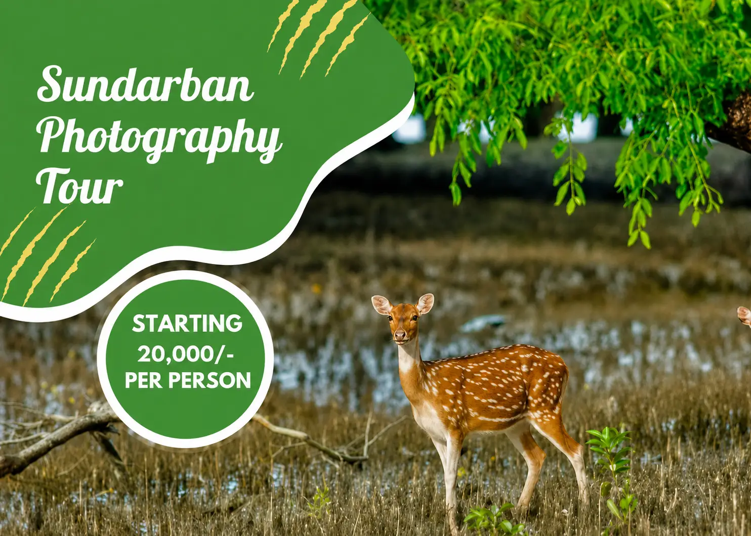 sundarban-2-nights-3-days-tour-package