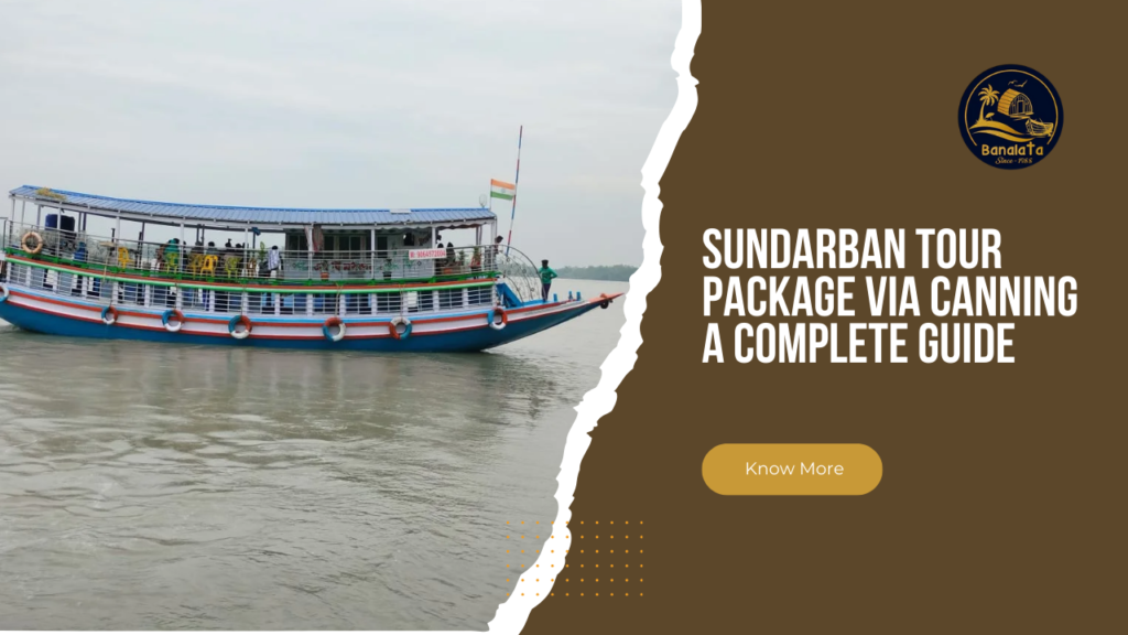 What Makes Sundarban a Must Visit Destination from Kolkata