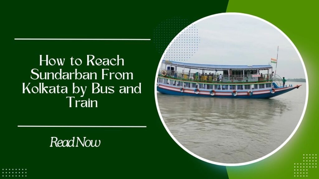 How to Reach Sundarban from Kolkata by Banalata Travels