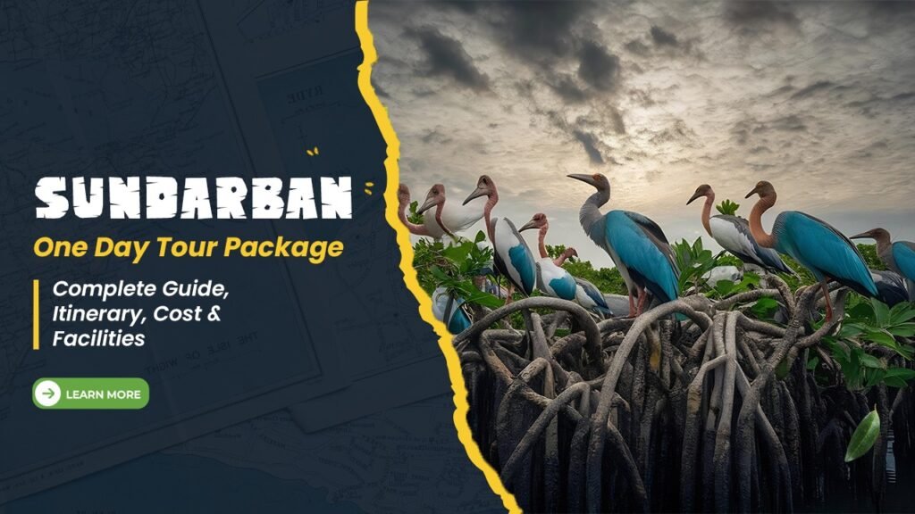 Sundarban One Day Tour Package