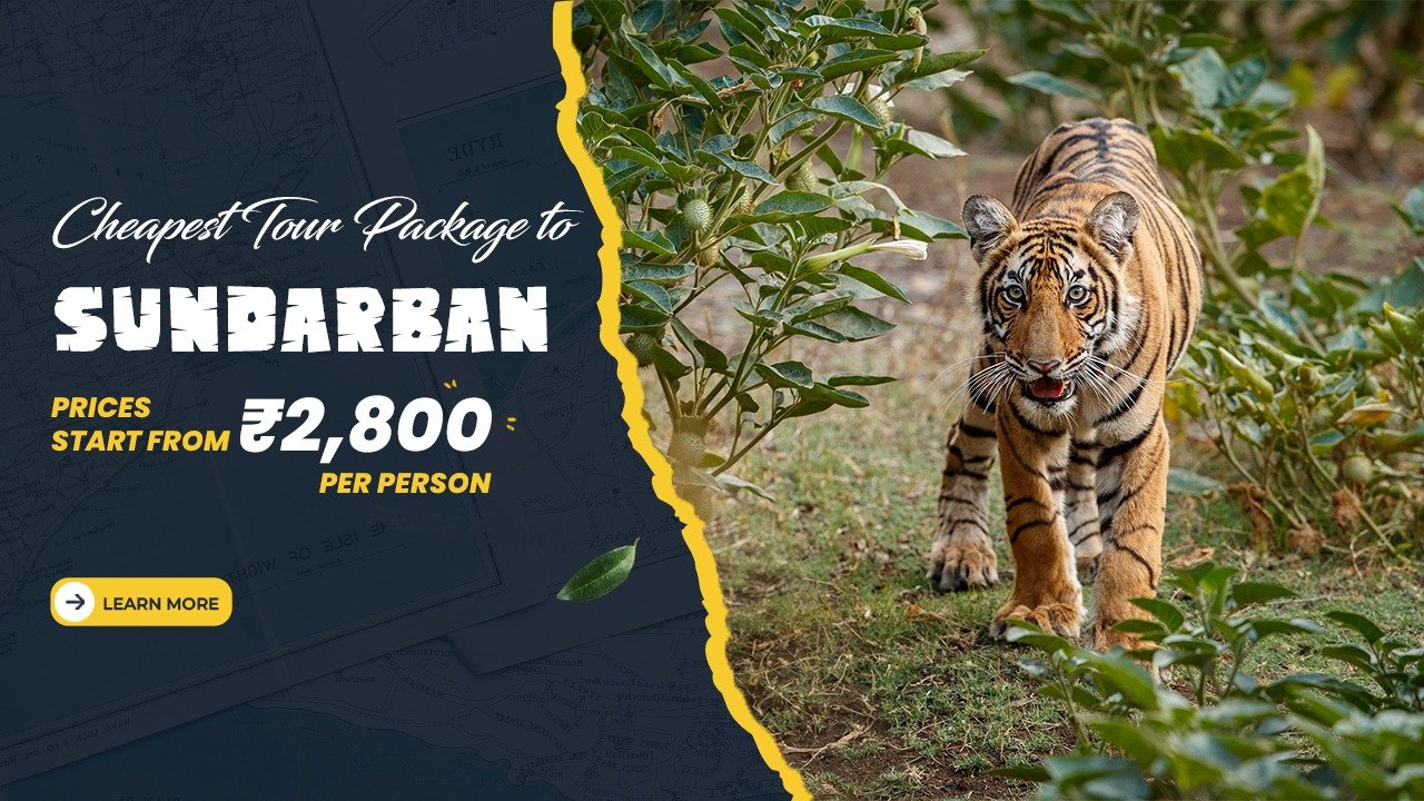 Cheapest Tour Package to Sundarban Prices Start from ₹2,800 Per Person
