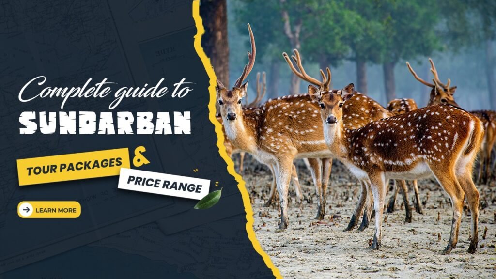 Guide to Sundarban Tour Packages