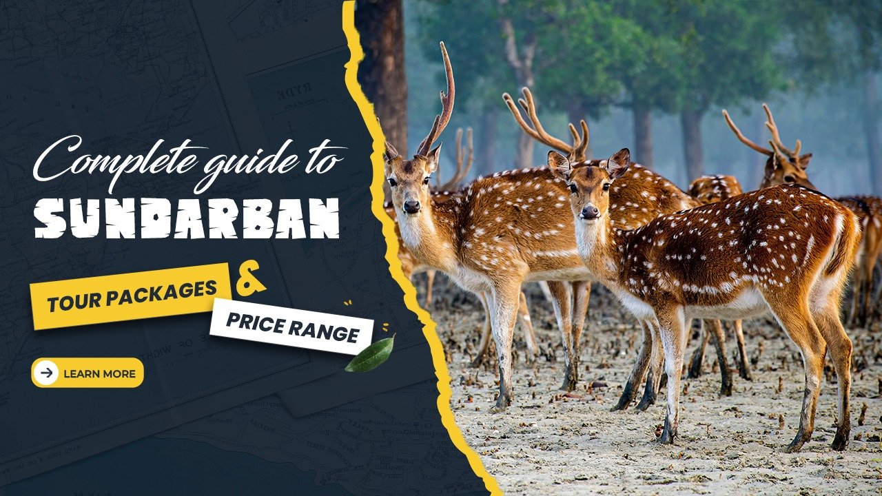 Guide to Sundarban Tour Packages