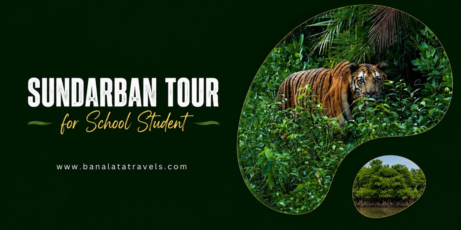 sundarban-tour-for-school-student